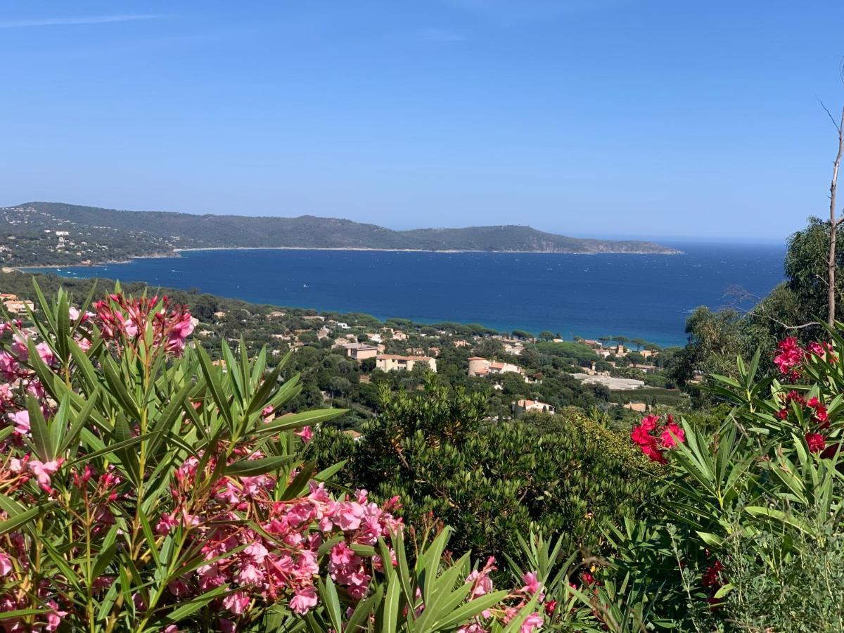 Villa Cacharelle Vue Mer Piscine Cavalaire-sur-Mer Dış mekan fotoğraf