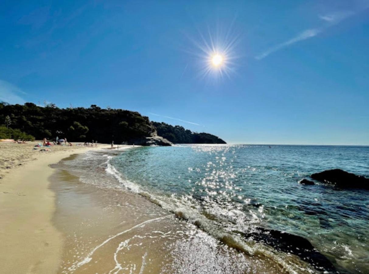 Villa Cacharelle Vue Mer Piscine Cavalaire-sur-Mer Dış mekan fotoğraf